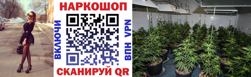 Купить закладку Кокаин  Амфетамин  Гашиш  Канабис  Меф  Alpha PVP  Алагир