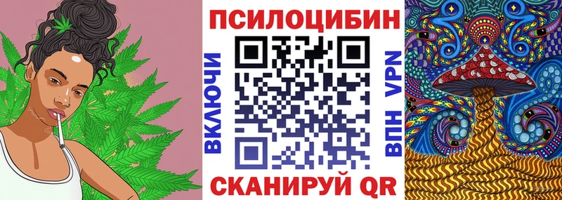 Псилоцибиновые грибы Psilocybine cubensis  Купить  Алагир 
